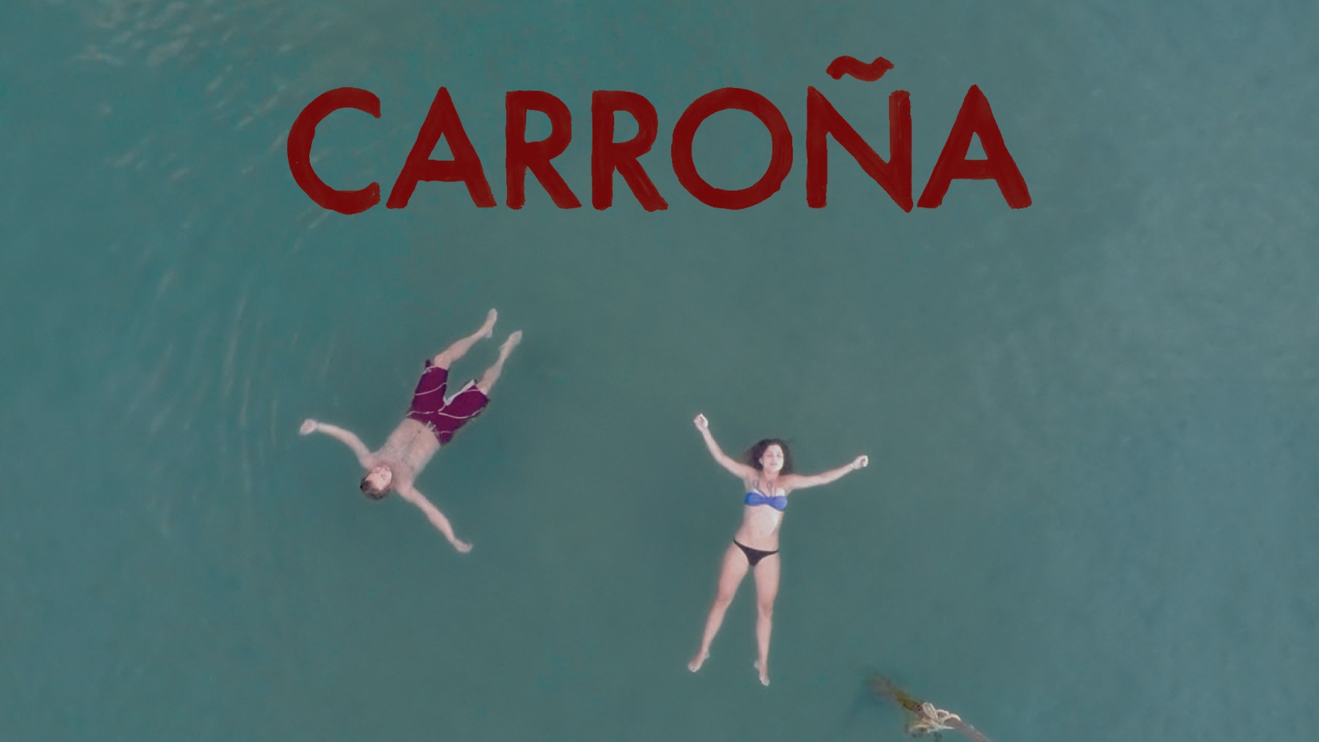 Carroña | Películas similares a Los renglones torcidos de Dios