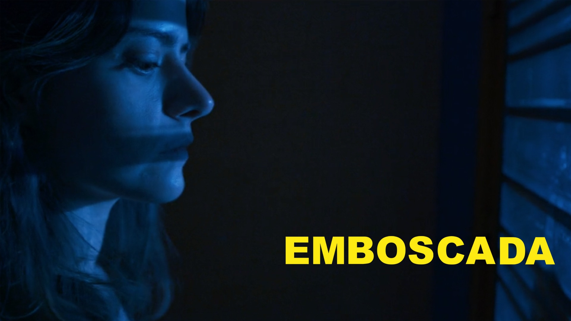 Emboscada | Películas similares a Los renglones torcidos de Dios
